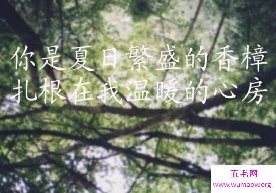 夏至未至小说结局揭秘，小司和立夏分开/陆之昂入狱