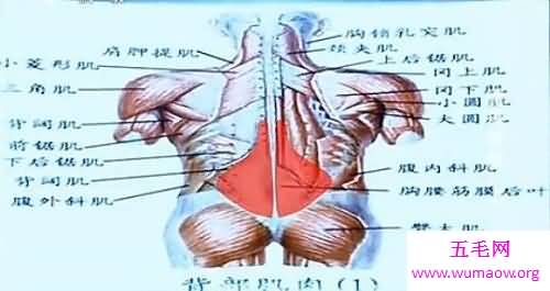 腰肌劳损是一种慢性病 会影响生活中的很多事