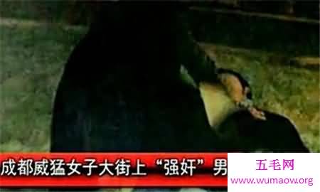 成都九眼桥事件后续 逾千名男子坐地齐呼姐姐你快回来