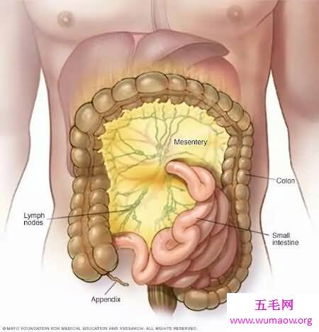 肠系膜淋巴结炎的了会很严重吗 怎么治疗