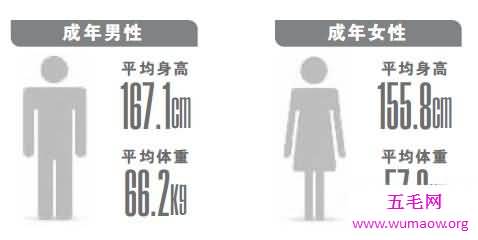 2018年最新中国男性平均身高 北方人略高南方人略矮