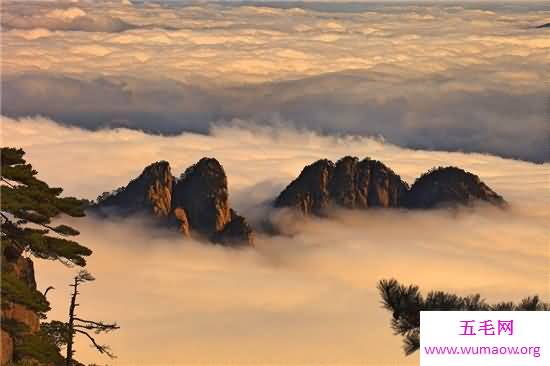 黄山四绝壮丽景观 带你领略黄山的奇特之处