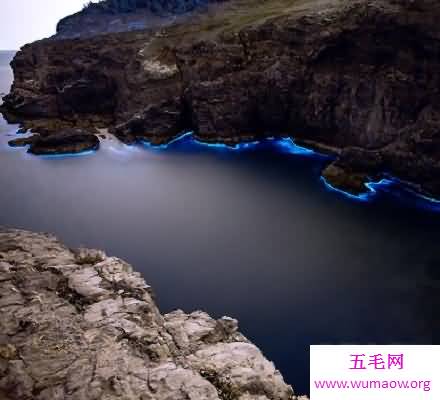 荧光海滩惊艳现身 奇观虽美瞎眼却存在潜在危险！