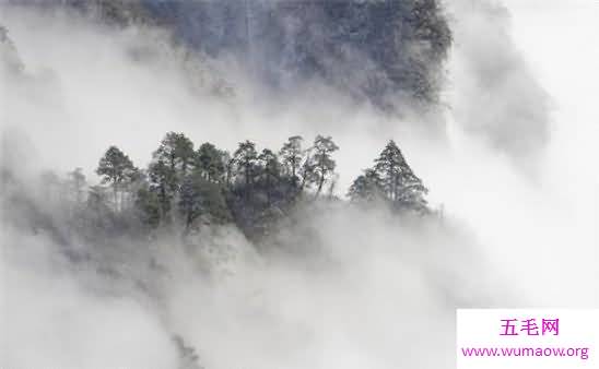 中国四大佛教名山排行，四大佛教名分别是什么菩萨的道场