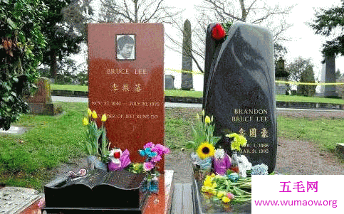 李小龙妻子悲惨的一生 现在的她生活在悲痛之中