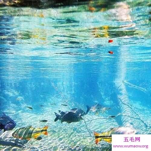 世界十大灵秀水景排行榜，风景如画的碧海蓝湖排倒数