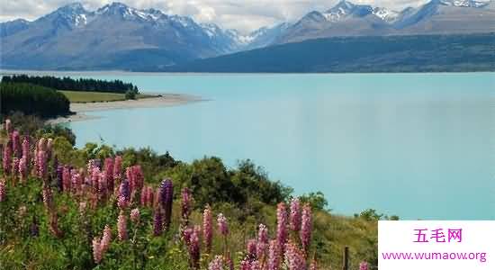 最值得旅游的十大圣地，浪漫的爱琴海不去可惜喽