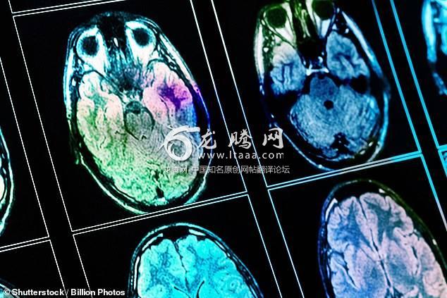 The ￡100 million piece of equipment will look deep into the human brain to understand its complex structure in pursuit of the human soul. Scientists say the project 'will revolutionise brain studies' (stock)