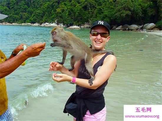 世界十大最著名的海滩旅游景点，这些美如画的海滩你都知道吗？