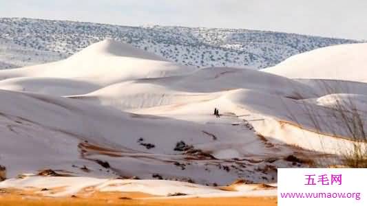 世界最热的沙漠撒哈拉沙漠，曾经竟然下过雪！