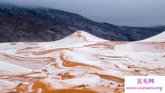 世界最热的沙漠撒哈拉沙漠，曾经竟然下过雪！