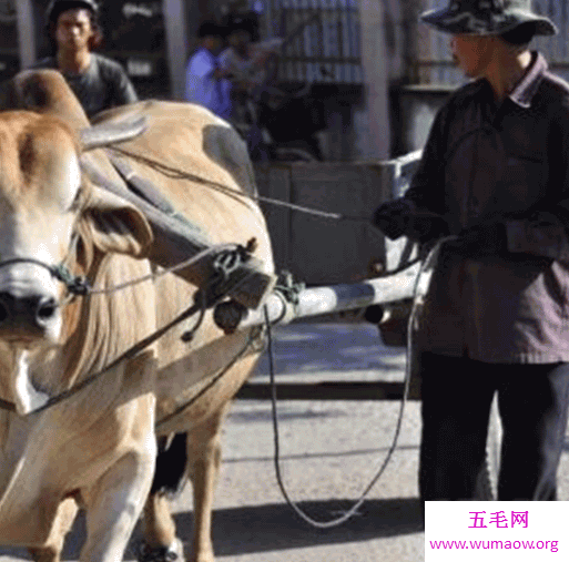 全球失业率最低的十大国家，美国竟然没有上榜？