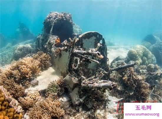 世界上最大的水下坟场，特鲁克泻湖到底隐藏了多了秘密？