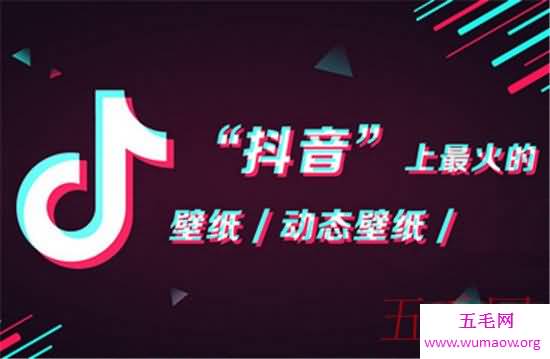 抖音最火壁纸，抖音最火的动态壁纸图片大全