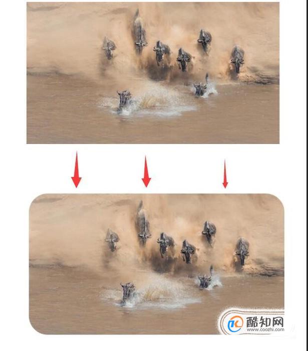 用photoshop将图片四角变成圆角