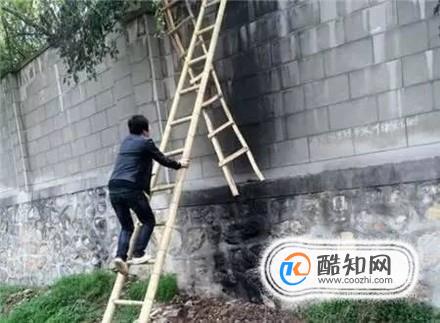 怎样看待游客翻墙进入动物园的行为