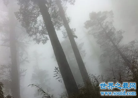 世界十大旅游禁地，美丽富饶的岛屿竟会吃人？