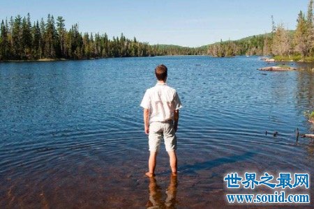 中国最大的淡水湖是哪个你知道吗这里的生物竟过着这样的生活