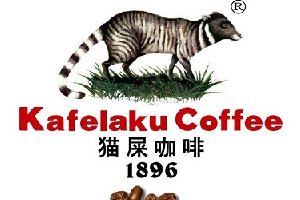 大家知道猫屎咖啡的由来吗啊？今天来告诉你