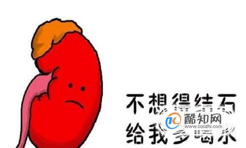 常喝饮料为什么会患肾结石