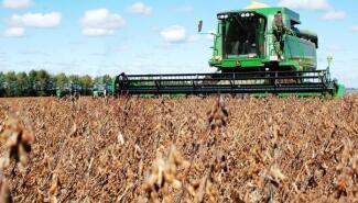   中国购买了史上最多的俄罗斯大豆，避开了美国豆农！ [美国媒体]