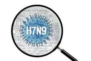 2017年武汉h7n9疫情,确诊十例均为重症患者