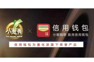 信用钱包是什么东西,信用钱包有哪些特点