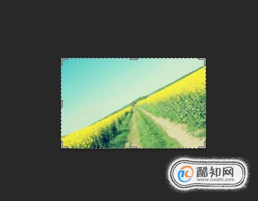 PS cs6裁剪工具怎么用