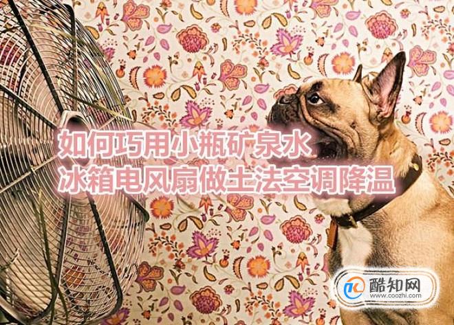 如何巧用小瓶矿泉水冰箱电风扇做土法空调降温