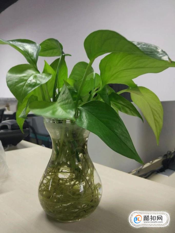 怎样制作图片的局部动态效果
