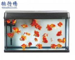 什么牌子的水族箱好？2018水族箱十大品牌排行榜推荐