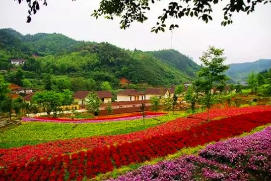 湖北十大名村,第十名樱桃吃不停,第五名是土豪村