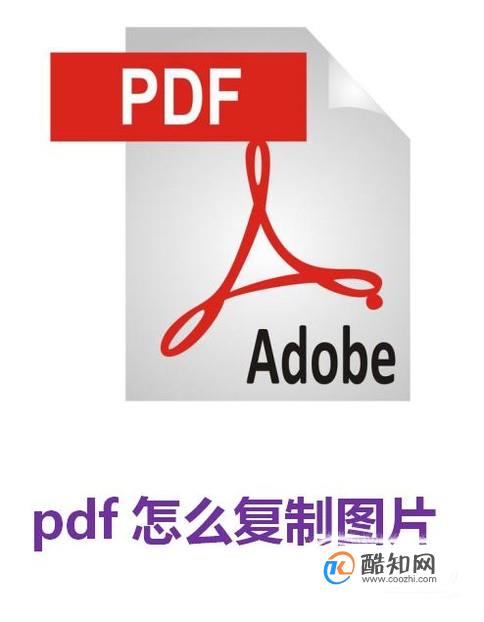 pdf怎么复制图片