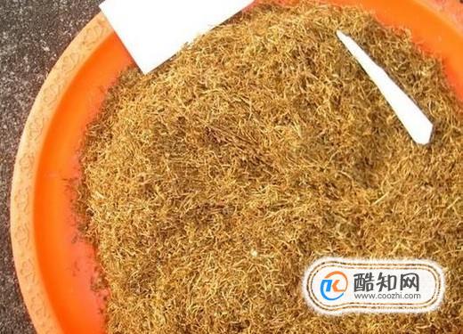 家庭如何灭蚁？家里有蚂蚁怎么办