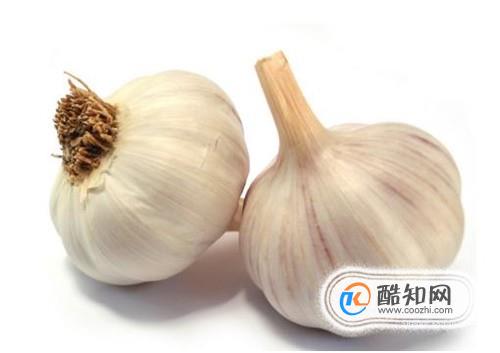 夏季如何防止大米面粉生虫子