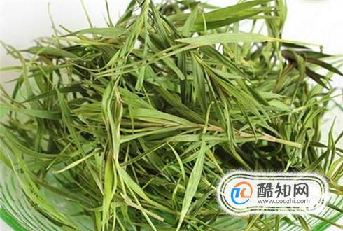 竹叶泡水喝的禁忌