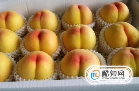 黄金蜜桃新品种表现介绍大全