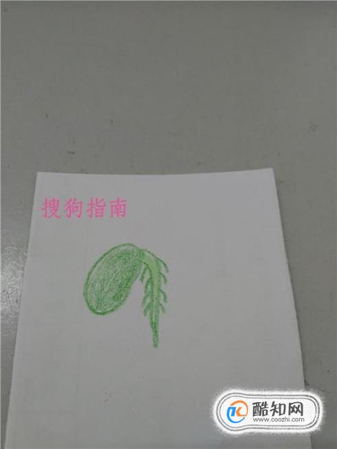 简笔画种子发芽了