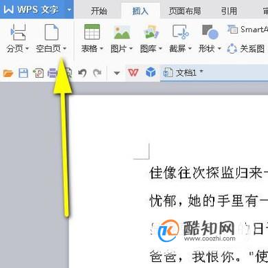 怎样在WPS文档中插入一页或多页横向页面