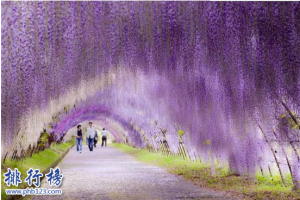 盘点世界十大仙境：没看过天空之镜不足以谈旅游