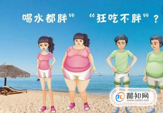 易瘦体质的特征有哪些