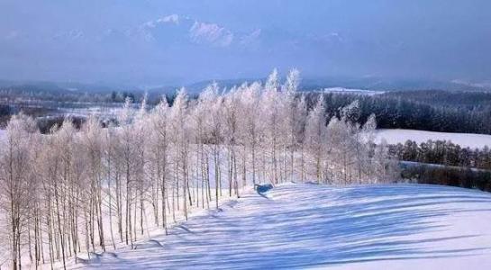 沁园春.雪，也许那天雪很大，但他大不过我的豪情壮志