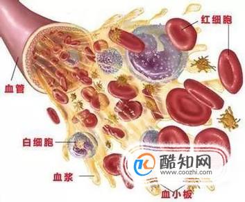 引起血液病的原因