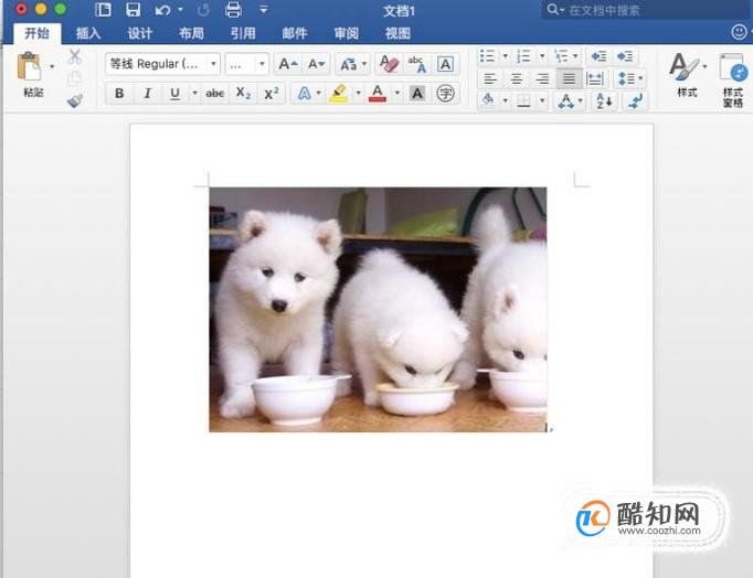 word怎么为图片添加边框