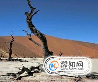 土地沙漠化的主要原因有哪些