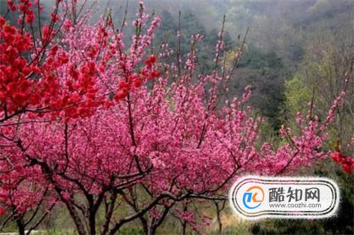 行万里路-带孩子旅游去：泰山二日游