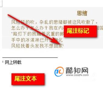 Word文档如何删除尾注？