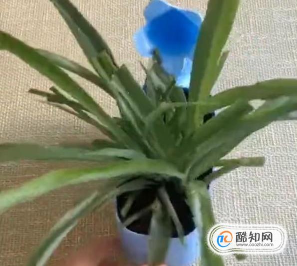 塑料手工花盆制作方法