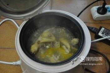 金毛犬喂食鸡架的正确方法