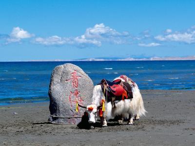 最新中国最大的湖泊排名，青海湖（中国第一大）